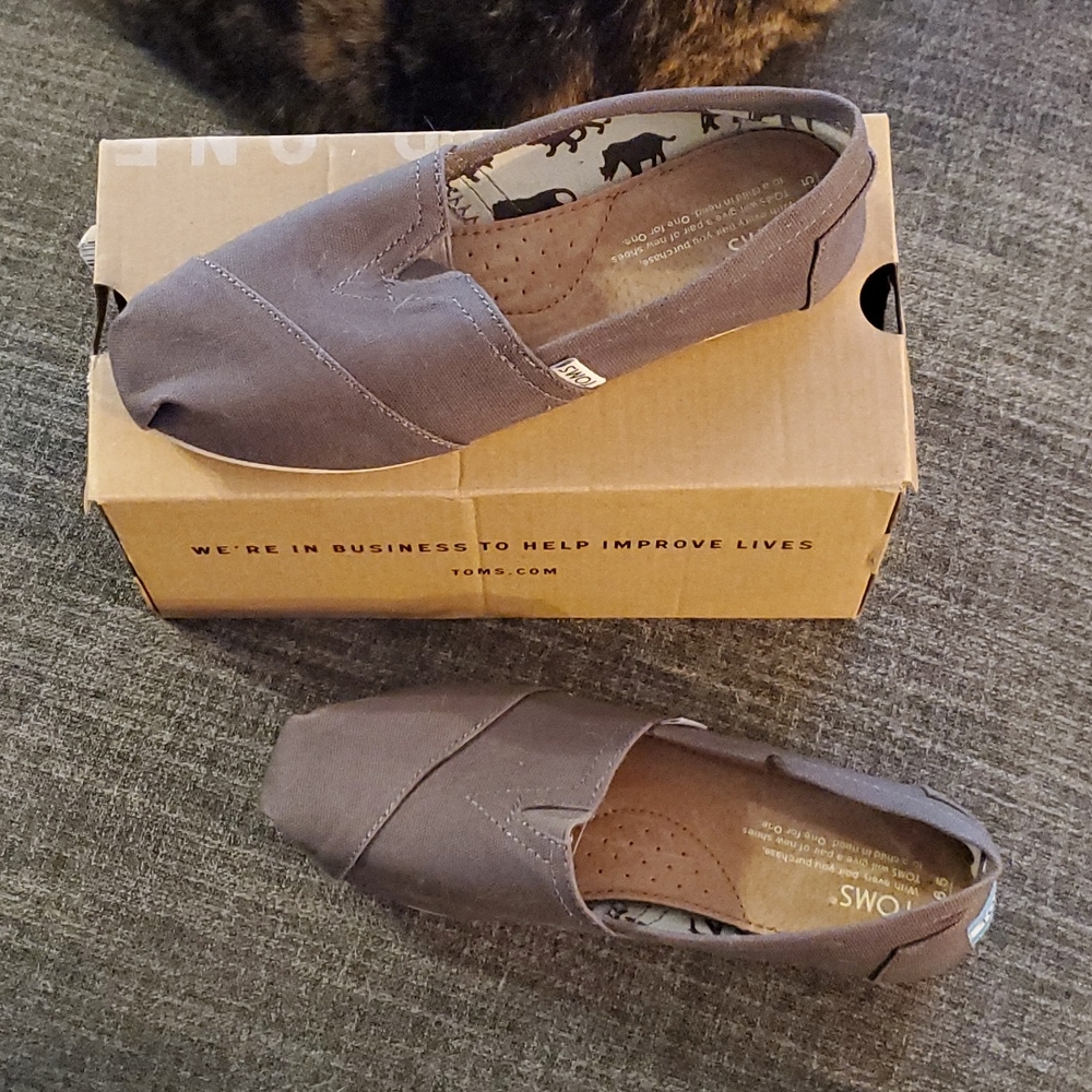 Grey Tom's